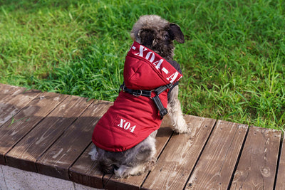 Abrigo Impermeable para Perros con Forro Polar y Capucha - Image 15