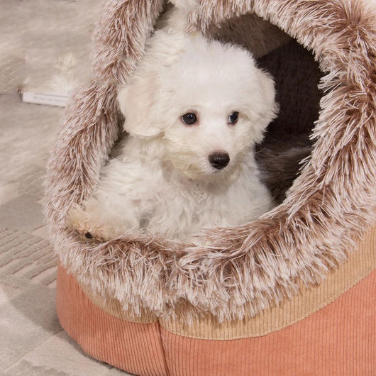 Cama Ortopédica para Perros Grandes - Colchón Térmico Lavable Invierno - Image 6