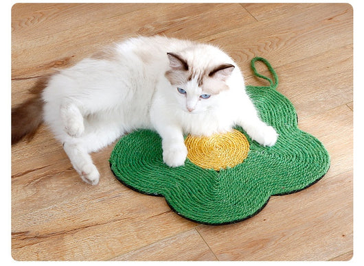Rascador de Sisal Resistente para Gatos sin Desprendimiento - Image 17