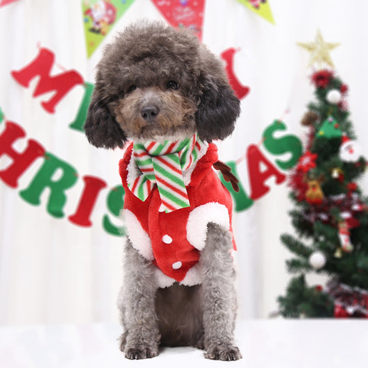 Suéter Navideño para Perros - Reno, Árbol y Papá Noel - Image 11