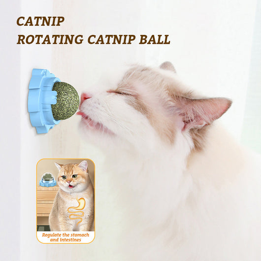 Juguete Mordedor Molar para Gatos con Hierba Gatera Adhesiva - Image 4