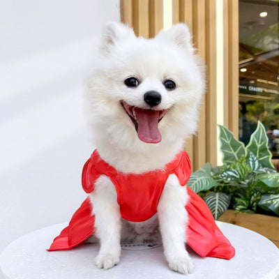 Vestido de Boda para Mascotas - Ropa Elegante para Perros y Gatos - Image 48