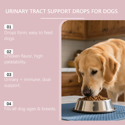 Gotas Herbales para la Salud Urinaria del Perro - Image 9