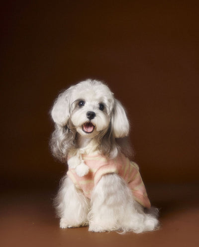 Suéter Acogedor de Galleta Felt para Mascotas - Otoño e Invierno - Image 10