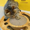 Brinquedo Arranhador 2 em 1 Gato Tesouro - Almofada Redonda