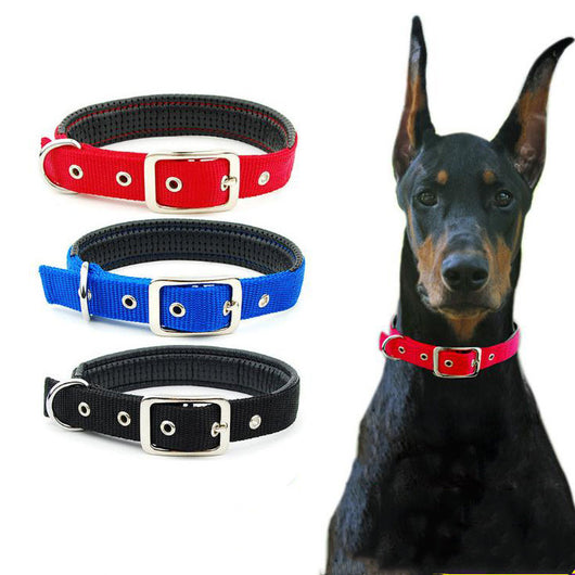 Collares para Perros Medianos y Grandes - Image 8