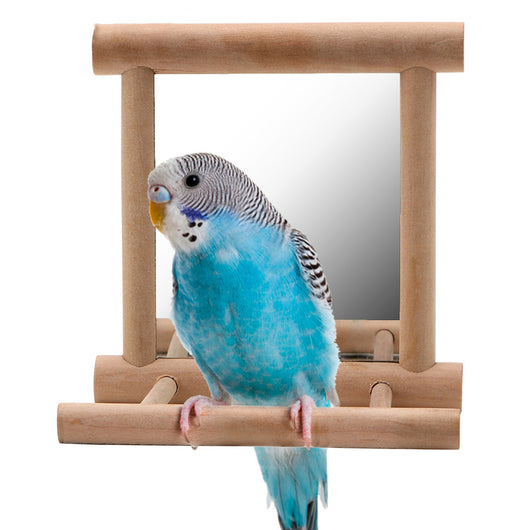 Natural wood bird stand with a double-sided mirror, featuring perches and metal hooks for small birds. - Image 9