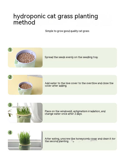 Mint green hydroponic cat grass cup with fresh rye and wheat grass, including 3 packs of each seed type. - Image 8