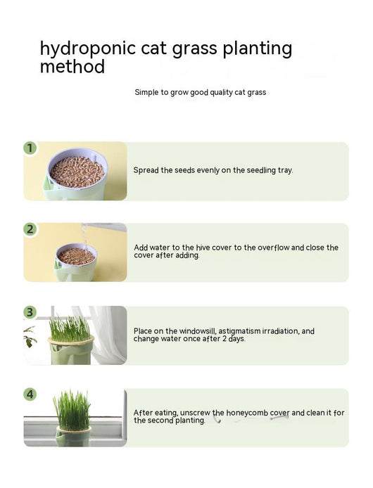 Mint green hydroponic cat grass cup with fresh rye and wheat grass, including 3 packs of each seed type. - Image 8
