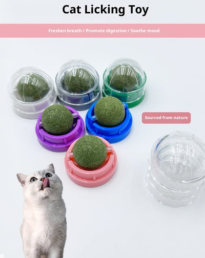Pelota Interactiva Masticable para Gatos - Juguete Mordedor y Alivio del Estrés - Image 11