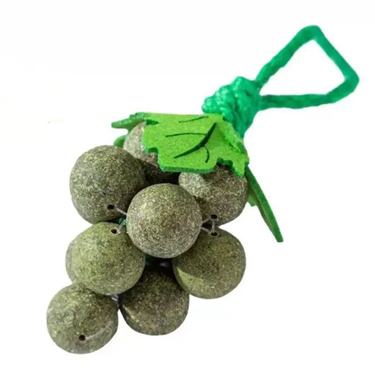 Juguetes Interactivos para Gatos con Hierba Gatera, Palitos Masticables Resistentes