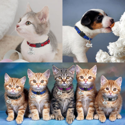 Collar de Seguridad Ajustable para Gatos con Cierre de Liberación Rápida y Placa de Identificación Personalizada - Image 9