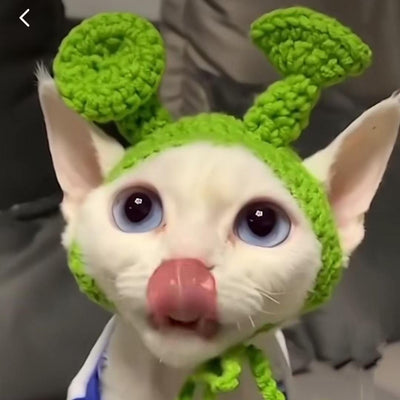 Gorro Tejido para Mascotas - Sombrero Divertido para Gatos y Perros - Image 13