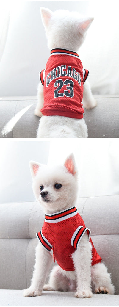 Chaleco Deportivo de Malla para Perros Talla Grande - Ropa Fresca para Verano - Image 19