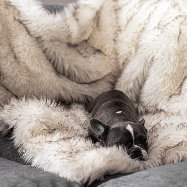 Cama Térmica Impermeable para Perros con Pelaje Suave Fox Fur