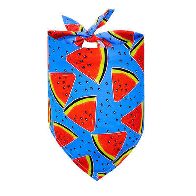 Pañuelo Triangular Absorbente para Perros - Diseño Frutas de Verano - Image 6
