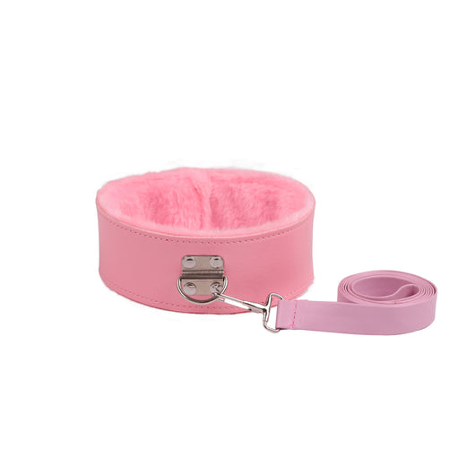 Collar con Hebilla de Seguridad y Cadena de Tracción - Image 11