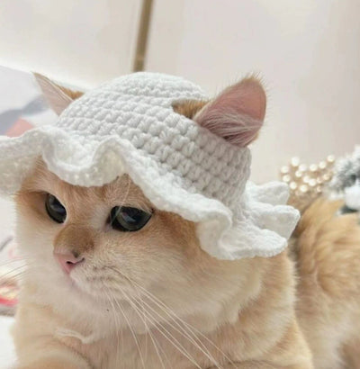 Gorro de Lana Tejido para Mascotas Estilo Británico - Primavera y Verano - Image 8