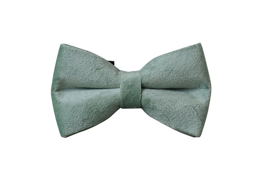 Collar y Correa para Perro Verde Menta - Image 11
