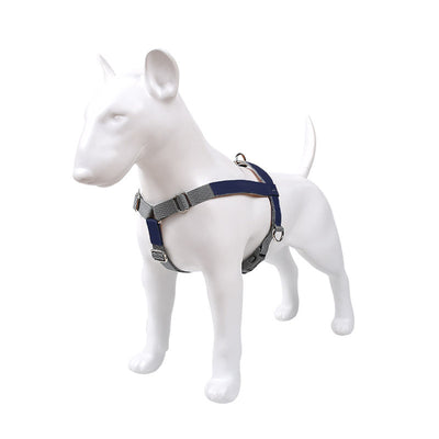 Arnés de Pecho para Perro en Cuero con Correa de Nylon - Image 26