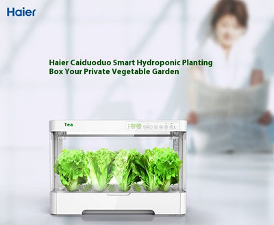 Sistema Automático de Cultivo Hidropónico sin Suelo - Image 7