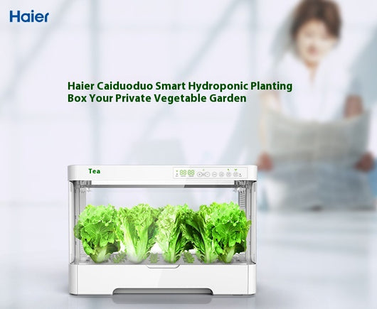Sistema Automático de Cultivo Hidropónico sin Suelo - Image 7