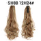 SH 8812 H 24