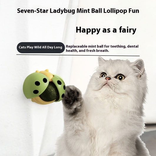 Pelota Interactiva Musical para Gatos con Catnip y Masaje Dental - Image 3