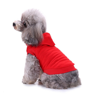 Sudadera Ligera con Capucha para Perros Pequeños - Primavera Verano - Image 13