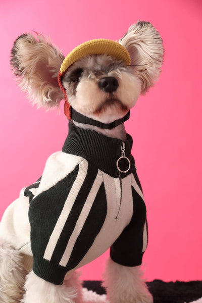 Suéter Deportivo para Perros - Cardigan Cómodo para Mascotas - Image 11