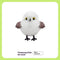 Blanco Titmouse