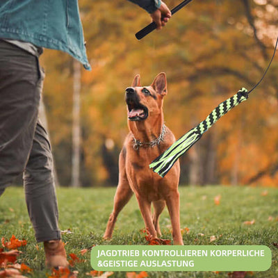 Black telescopic pet training rod with a black cord and two interchangeable braided fabric attachments in green/yellow and blue. - Image 25