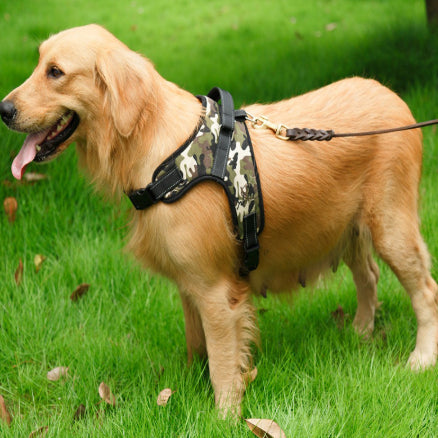 Blue and black mesh dog harness with adjustable straps, a D-ring for leash attachment, and a quick-release buckle. - Image 14