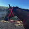Cabestro de Cuerda Reforzada para Caballo