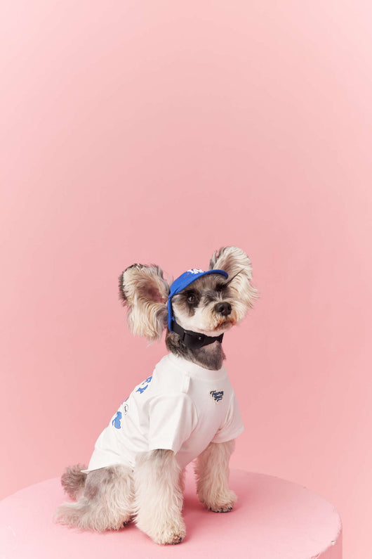 Ropa de Verano para Perros Pequeños - Teddy Schnauzer Bichón - Image 9