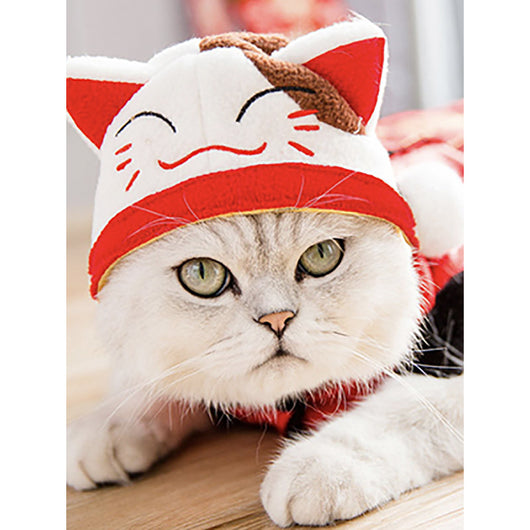 Gorro Rizado Divertido para Mascotas - Disfraz Cómico para Gatos y Perros - Image 25
