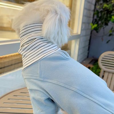 Playera de Bloques de Color para Mascotas - Ropa Cómoda para Perros - Image 13