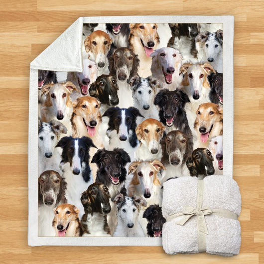 Manta Franela Estampada para Perros - Image 17