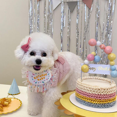 Bandana Fiesta para Perros - Pañuelo Triangular Cumpleaños Bichón - Image 6