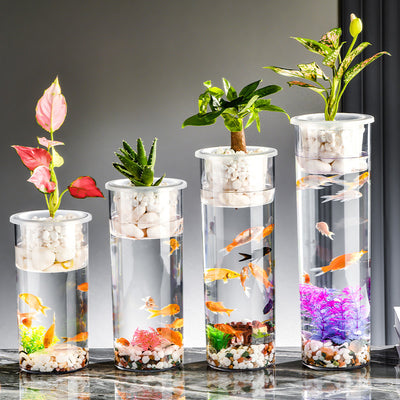 Maceta Ecológica de Escritorio con Paisaje Miniatura y Pecera Transparente - Image 3