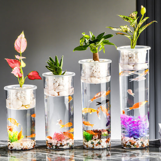 Maceta Ecológica de Escritorio con Paisaje Miniatura y Pecera Transparente - Image 3