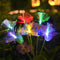 Colorful Sun 8 Butterflies