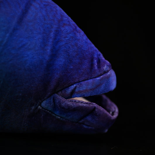 Peluche Pez Luna Realista con Labios Ondulados - Image 12