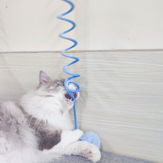 Juguete Interactivo para Gatos con Ventosa y Bola de Pelo - Image 4