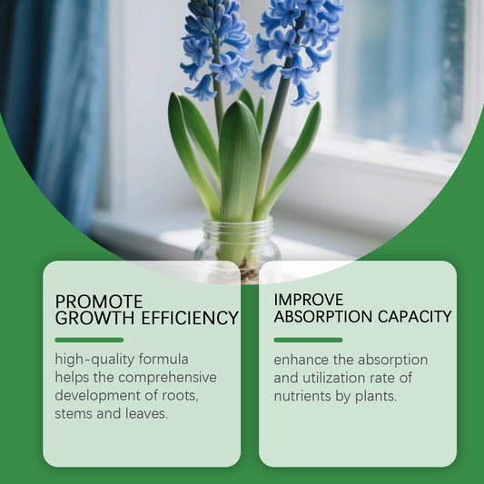 Solución Nutritiva Hidropónica Dual A&B para Flores y Plantas sin Suelo - Image 2