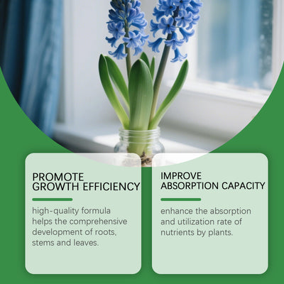 Solución Nutritiva Hidropónica Dual A&B para Flores y Plantas sin Suelo - Image 2