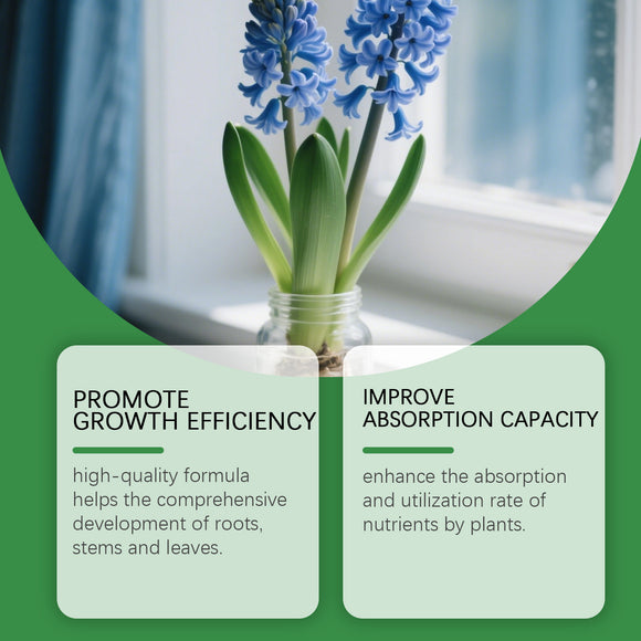 Solución Nutritiva Hidropónica Dual A&B para Flores y Plantas sin Suelo