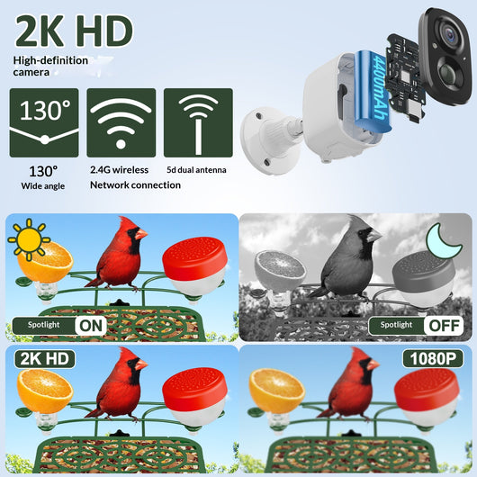 Comedero Inteligente para Aves con Energía Solar e IA - Image 17
