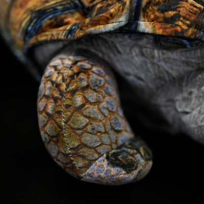 Peluche Realista de Tortuga Galápagos - Juguete Educativo y Adorable - Image 9
