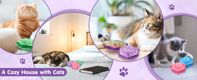 Juguete Interactivo de Catnip con Dados DND para Gatos - Regalo Mágico para Amantes de Gatos - Image 17